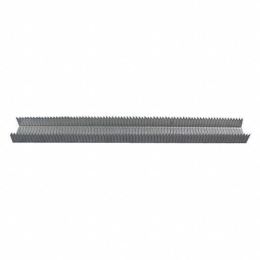 Long strip of metal nails on a white background
