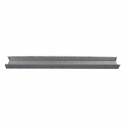 Long strip of metal nails on a white background